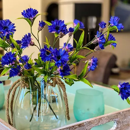 Zeeskahn * 징스트