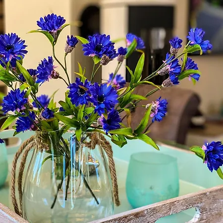 Zeeskahn * 징스트